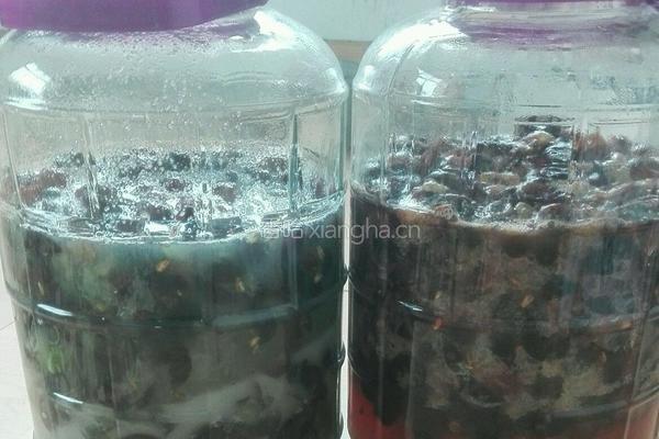 自制葡萄酒的做法图解4