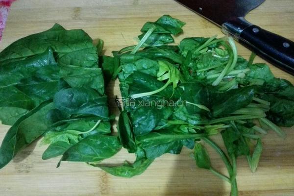 菠菜豆芽拌粉丝的做法图解2