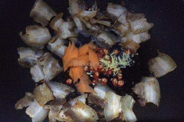 简易版回锅肉的做法图解6