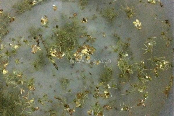 糖桂花的做法图解2