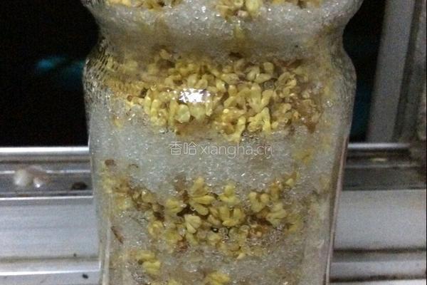 糖桂花的做法图解3