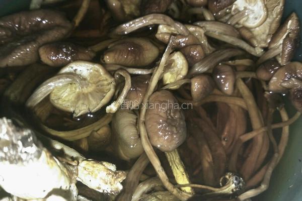 茶树菇蒸虾仁的做法图解1