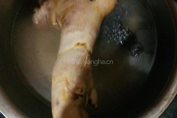 云豆烧猪蹄的做法图解2
