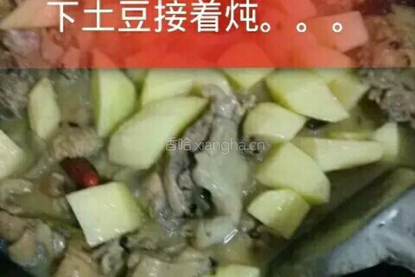 土豆蘑菇炖鸡块的做法图解7