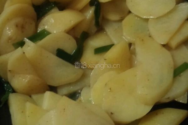 炒土豆片的做法图解6