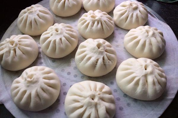 鲜肉包的做法图解17