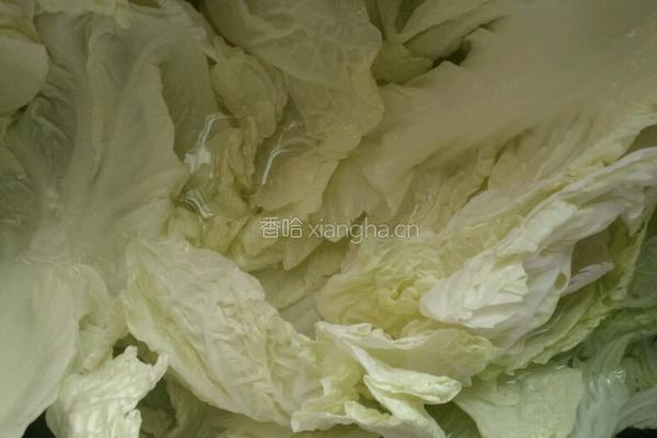 白菜胡萝卜丸子的做法图解3