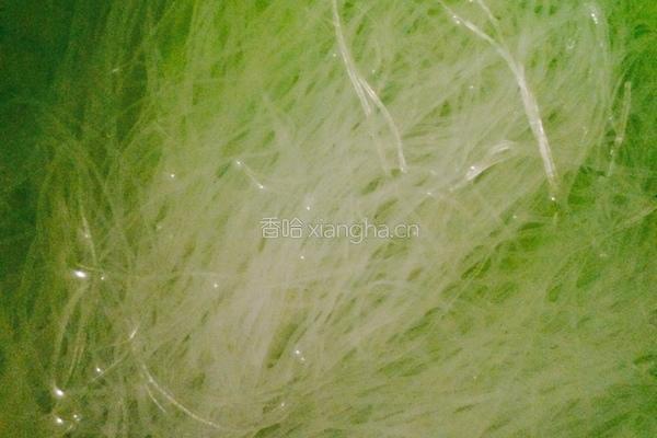 黄豆牙煸粉丝的做法图解2