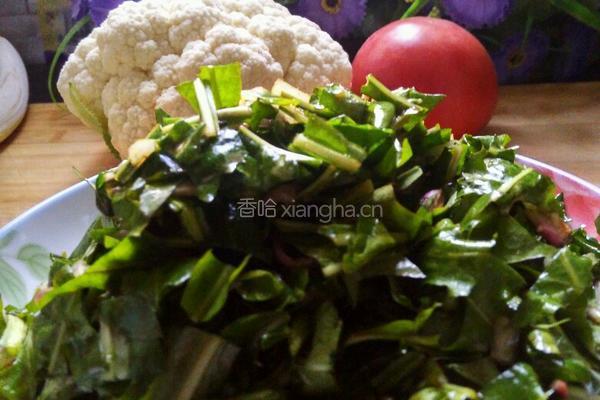 凉拌蒲公英的做法图解6