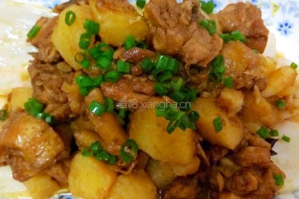 土豆炖鸡的做法图解11