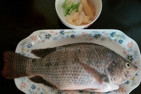 清蒸福寿鱼的做法图解1