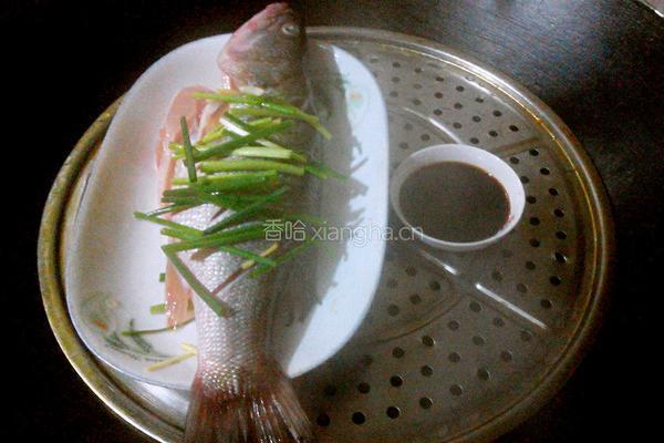 蒸鲈鱼的做法图解6