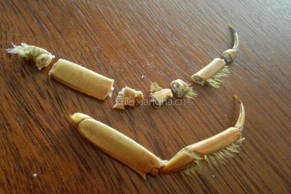 蟹粉的拆制的做法图解3