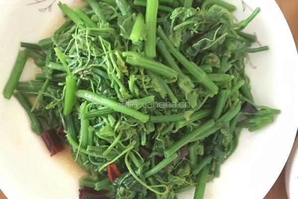 小炒瓜尖的做法图解6