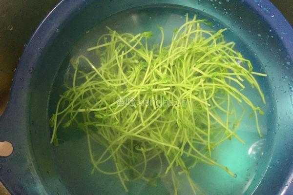 凉拌洋葱豌豆苗的做法图解3