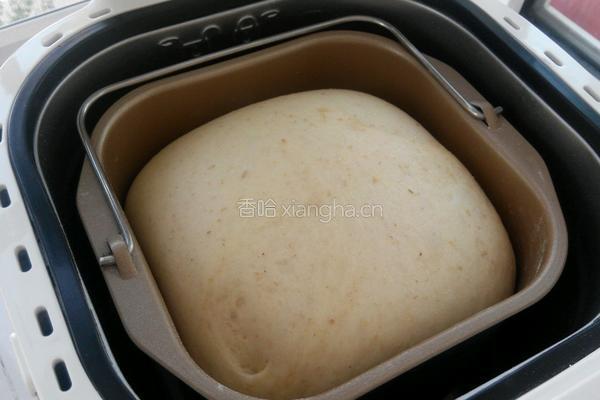 全麦椰蓉餐包的做法图解3