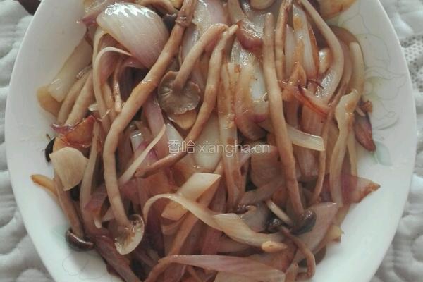 洋葱炒茶树菇的做法图解12