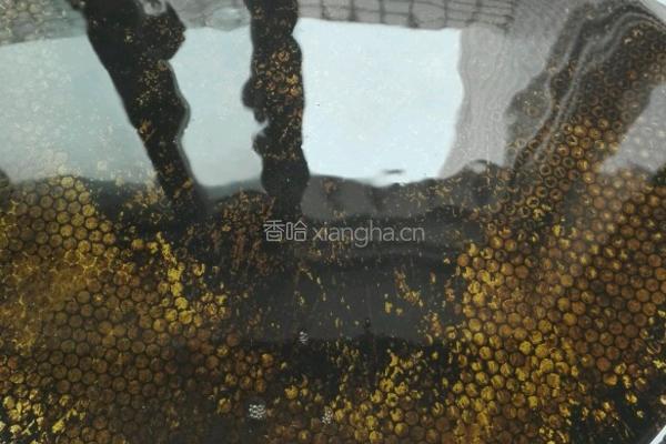 洋葱炒茶树菇的做法图解6