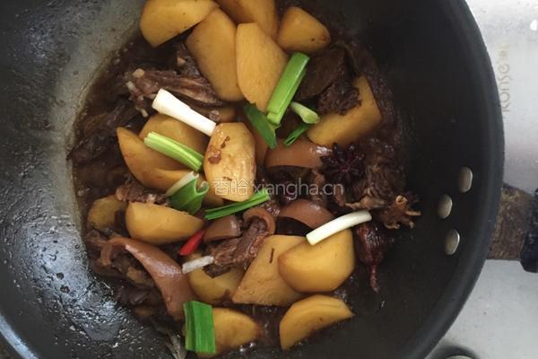 狗肉炆土豆的做法图解8