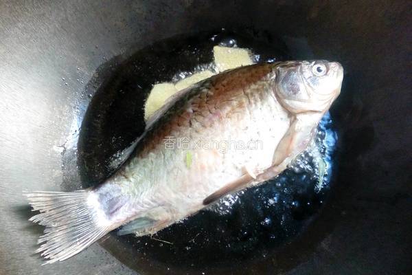 鲫鱼豆腐汤的做法图解6