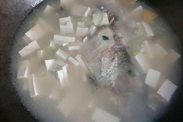 鲫鱼豆腐汤的做法图解9
