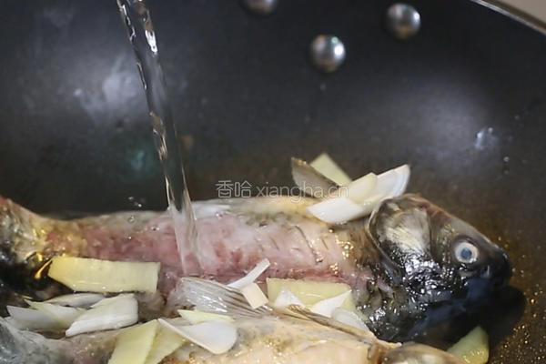 萝卜丝炖鲫鱼汤的做法图解6