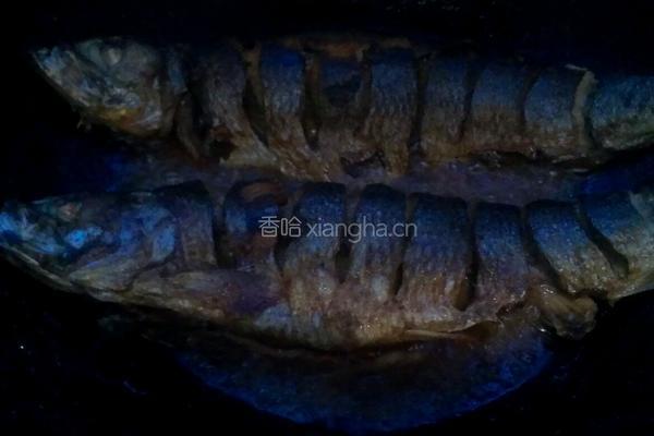 香煎青鱼的做法图解4