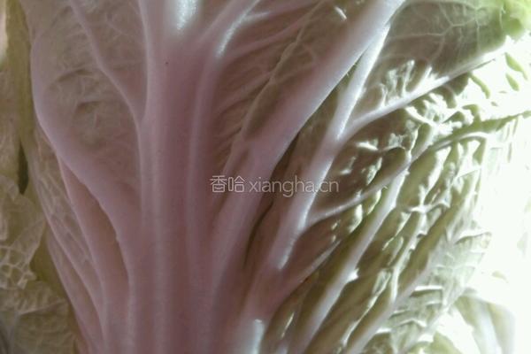 腌制辣白菜的做法图解1