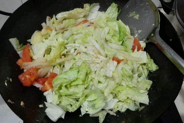 番茄鸡蛋炒白菜的做法图解7