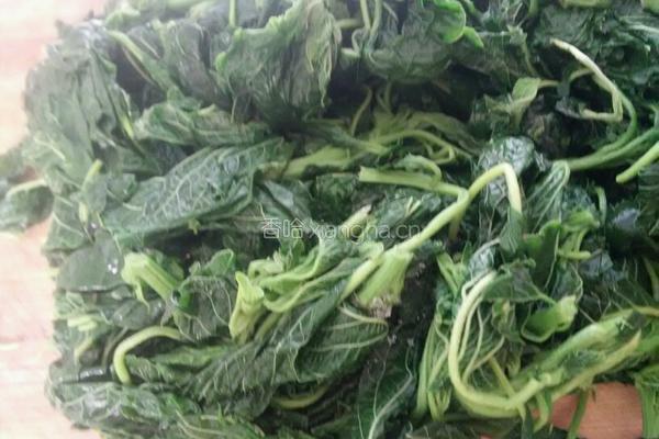 野菜饺子的做法图解5