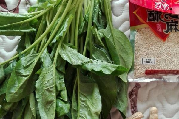 花生芝麻炒菠菜的做法图解1