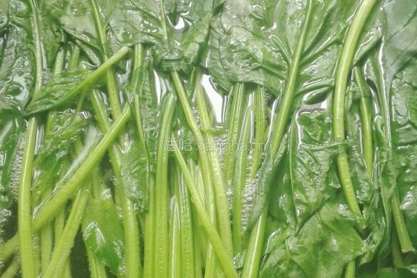 花生芝麻炒菠菜的做法图解2