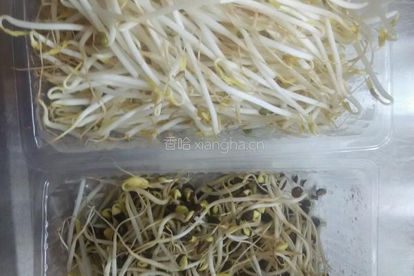 双色豆芽的做法图解1