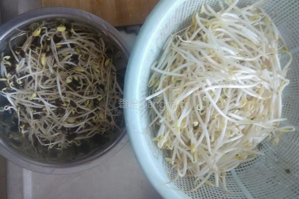 双色豆芽的做法图解2