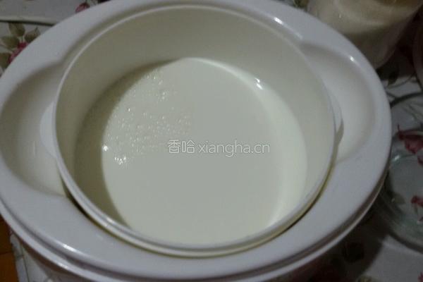 自制酸奶的做法图解2