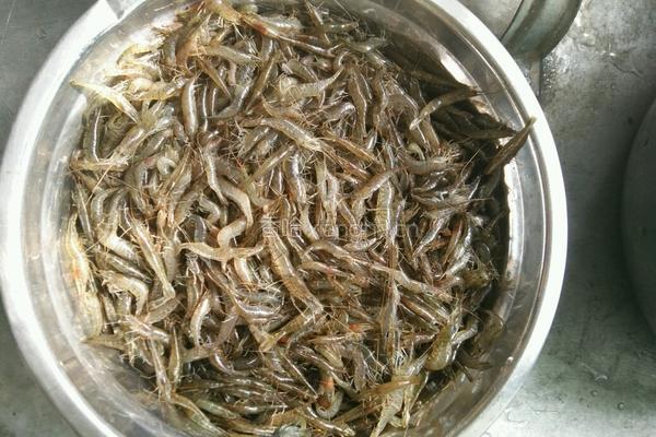 咸菜炖小虾的做法图解3
