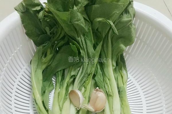 蒜蓉迟菜心的做法图解1