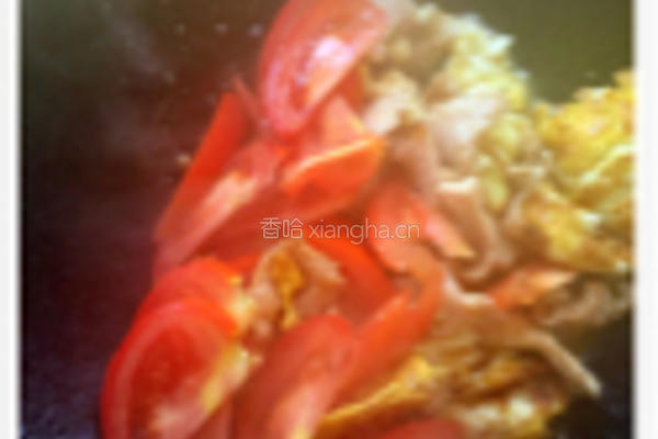 蓋飯大雜燴的做法图解4