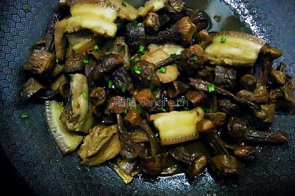 姬松茸炒肉的做法图解21