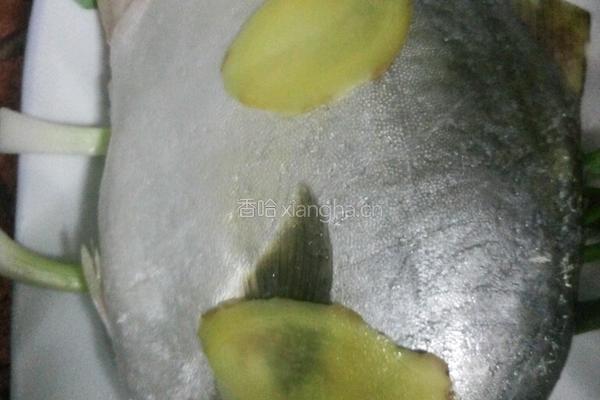 清蒸金鲳鱼的做法图解2