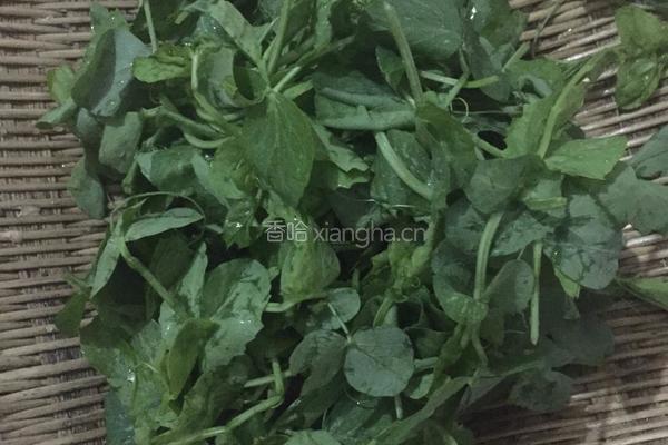香菇豆腐脑的做法图解6