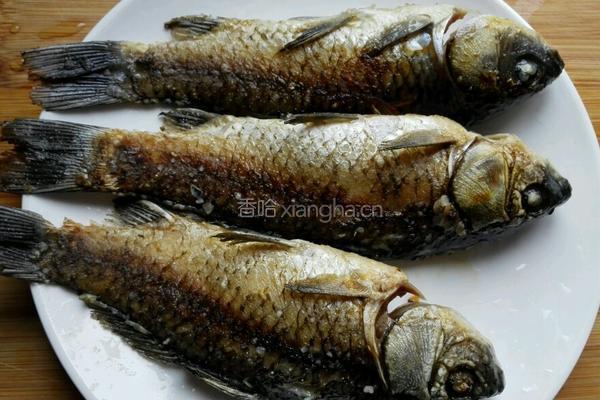 鲫鱼汤的做法图解4