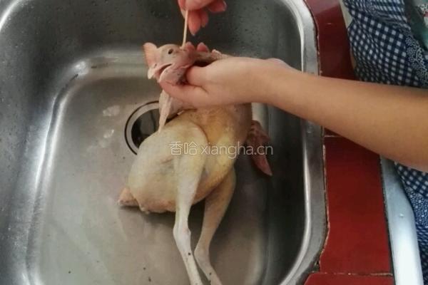 白斩芦花鸡的做法图解3