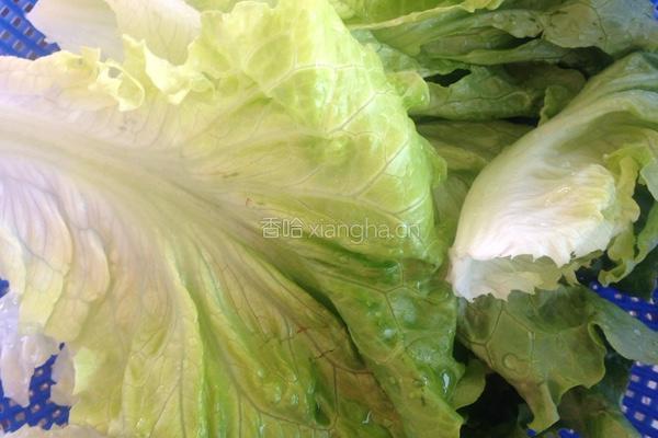 蒜蓉蚝油生菜的做法图解1