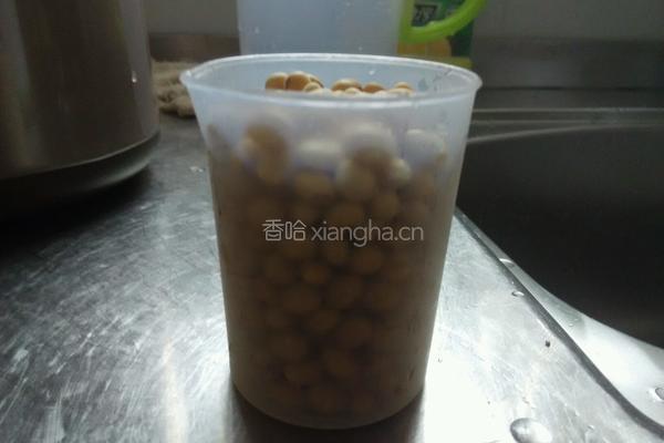 豆纤醇浆的做法图解1