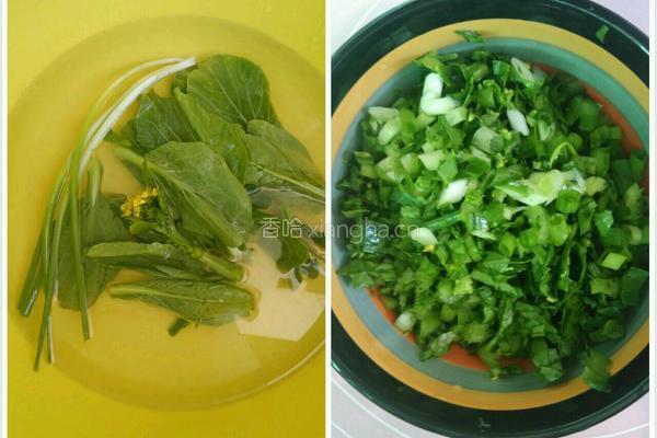 青菜鸡蛋煎饼的做法图解1
