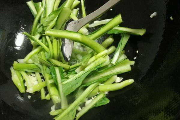 蒜香油菜芯的做法图解5