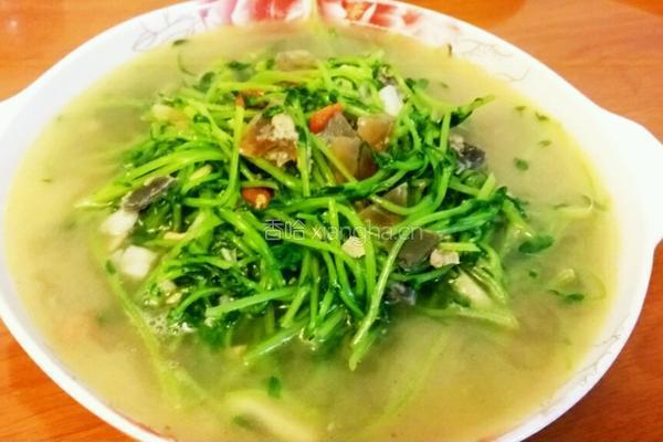 上汤豆苗的做法图解5