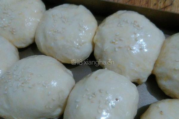 奶油小餐包的做法图解5