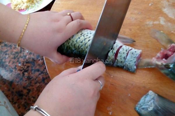 孔雀开屏鱼。的做法图解1